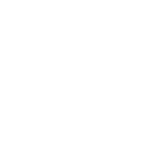 VegaX